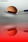 Prossima Foto: L'uovo e il suo riflesso