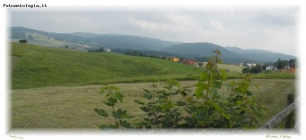 Foto Precedente: Altopiano Asiago