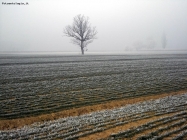 Nebbia e neve