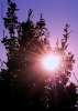 Prossima Foto: Sole di Novembre