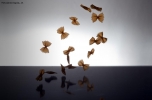 Foto Precedente: farfalle in volo