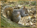 Prossima Foto: merenda sull'erba