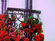 Foto Precedente: balcone fiorito