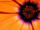 Prossima Foto: raggi di sole