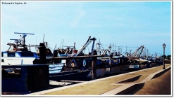 Foto Precedente: Il porto