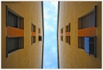 domus