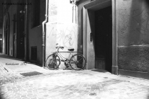 Prossima Foto: La Bicicletta !