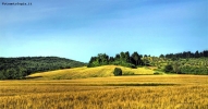 Prossima Foto: nei dintorni di casa mia - collinetta magica..