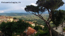 Foto Precedente: panorama da via S Margherita a Cortona