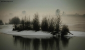 Prossima Foto: s.t.