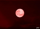 Prossima Foto: luna rossa