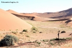 Prossima Foto: Deserto del Namib