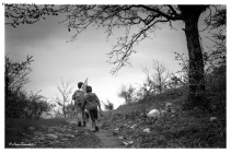 Prossima Foto: My "Walk to Paradise Garden" (logarghena 2013)