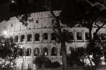 Prossima Foto: Colosseo tra i rami