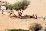 Prossima Foto: Genti e luoghi d'Egitto 5 