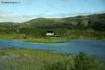 Foto Precedente: Norvegia