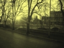 Foto Precedente: Lungotevere