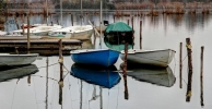 Prossima Foto: Malinconia d'inverno