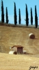 Foto Precedente: terre di siena1