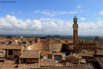 Prossima Foto: Cartolina di Siena