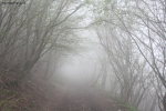 Prossima Foto: Nuvole sul monte San Primo