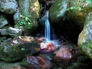 Foto Precedente: acqua