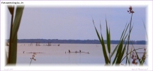 Prossima Foto: Oasi Lipu di Massaciuccoli