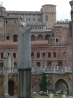 Foto Precedente: Un volatile nell'antica Roma