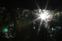 Foto Precedente: sun