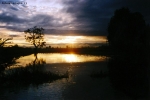 Foto Precedente: tramonto dopo il temporale