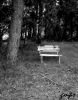 Foto Precedente: solitudine e abbandono