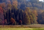 Prossima Foto: Autunno