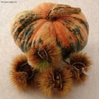 Prossima Foto: Aspettando Halloween