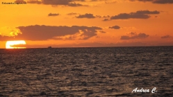 Prossima Foto: Tramonto del giorno dopo...