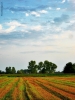 Prossima Foto: Tra terra e cielo