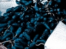 Foto Precedente: Uva nera