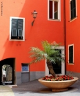 Prossima Foto: Colori di Liguria