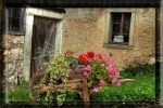 Prossima Foto: Una carriola di colori