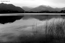 Foto Precedente: Il lago d'inverno
