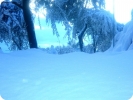 Prossima Foto: Snow