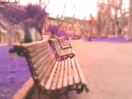 Prossima Foto: Relax