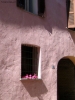 Prossima Foto: Rosa...