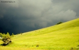 Prossima Foto: cambiamento improvviso..