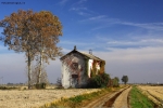 Foto Precedente: Autunno Vercellese