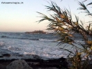 Prossima Foto: Sicilia - Isola delle Correnti