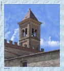 Prossima Foto: Bolgheri - Particolare