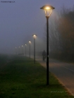 Prossima Foto: due passi al parco prima che cali la notte ...