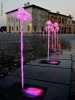 Prossima Foto: Pink water games 2