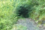 Prossima Foto: verso l'ignoto