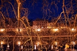 Prossima Foto: Rami di Roma...